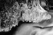 Wakeena Creek Ice 13-3679 bw